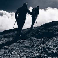 If You’re in Business, You’re a Tour Guide.