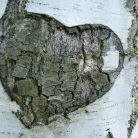 Can you say I AM MY BUSINESS